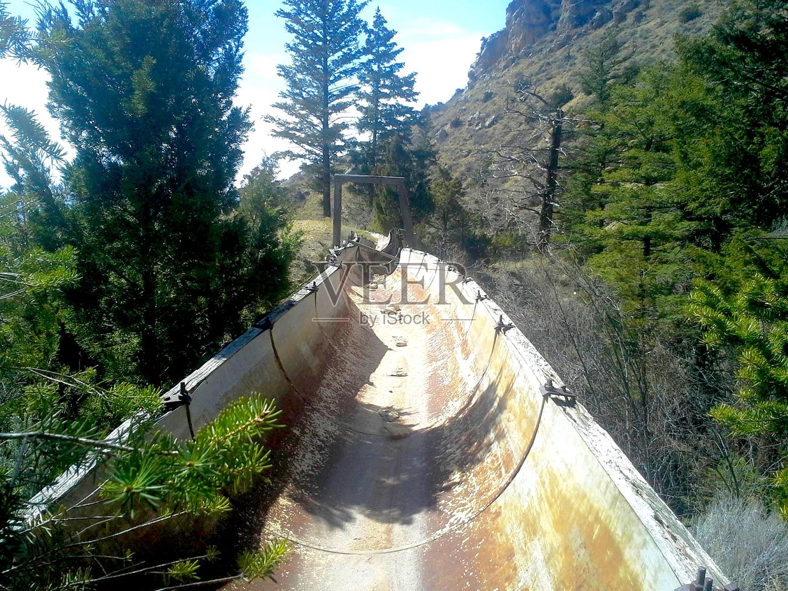 黄金热照片摄影图片