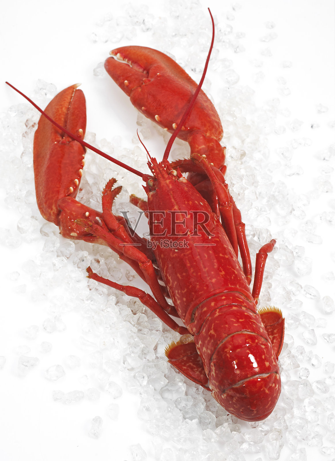 冰煮龙虾照片摄影图片