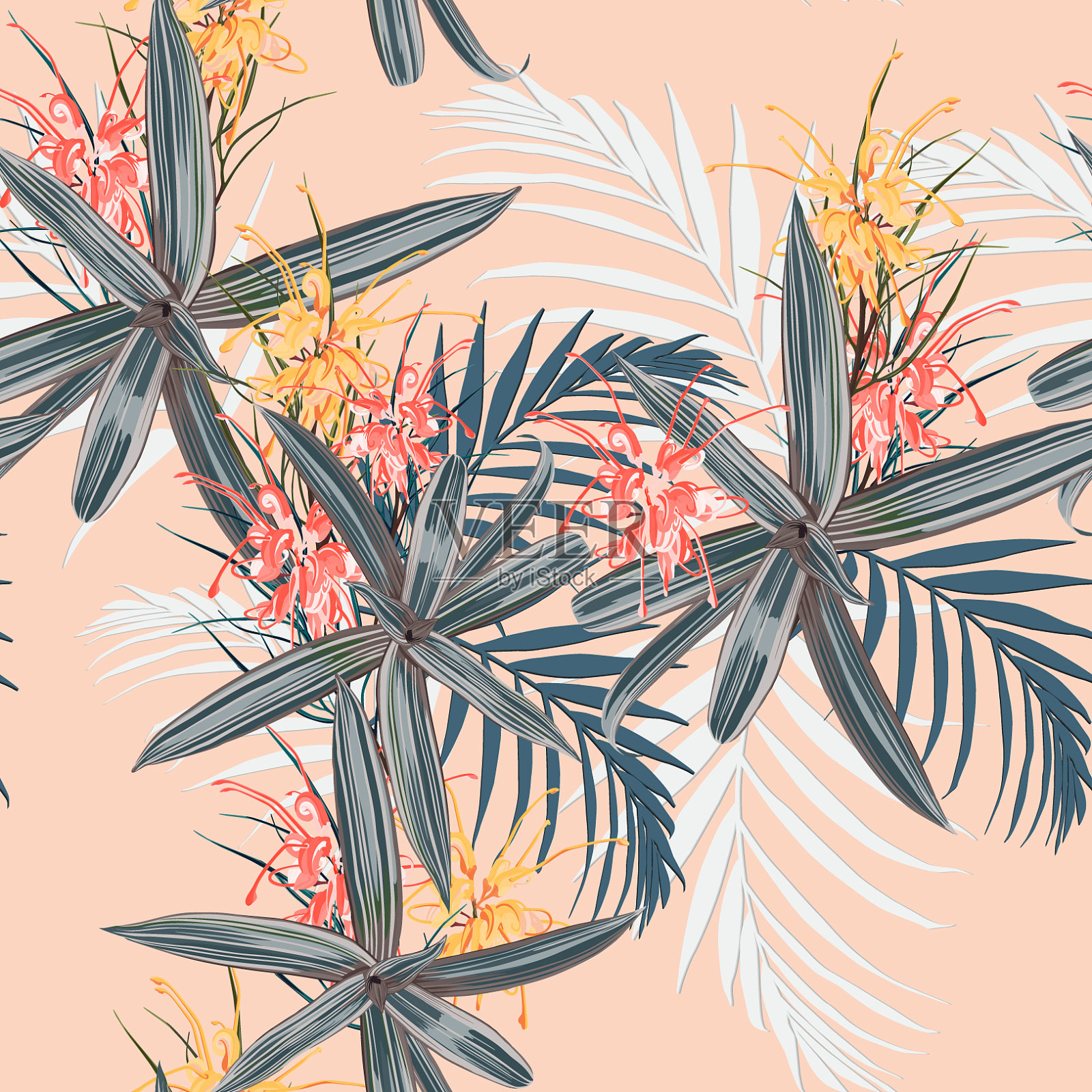 热带叶子和天宫花插画图片素材