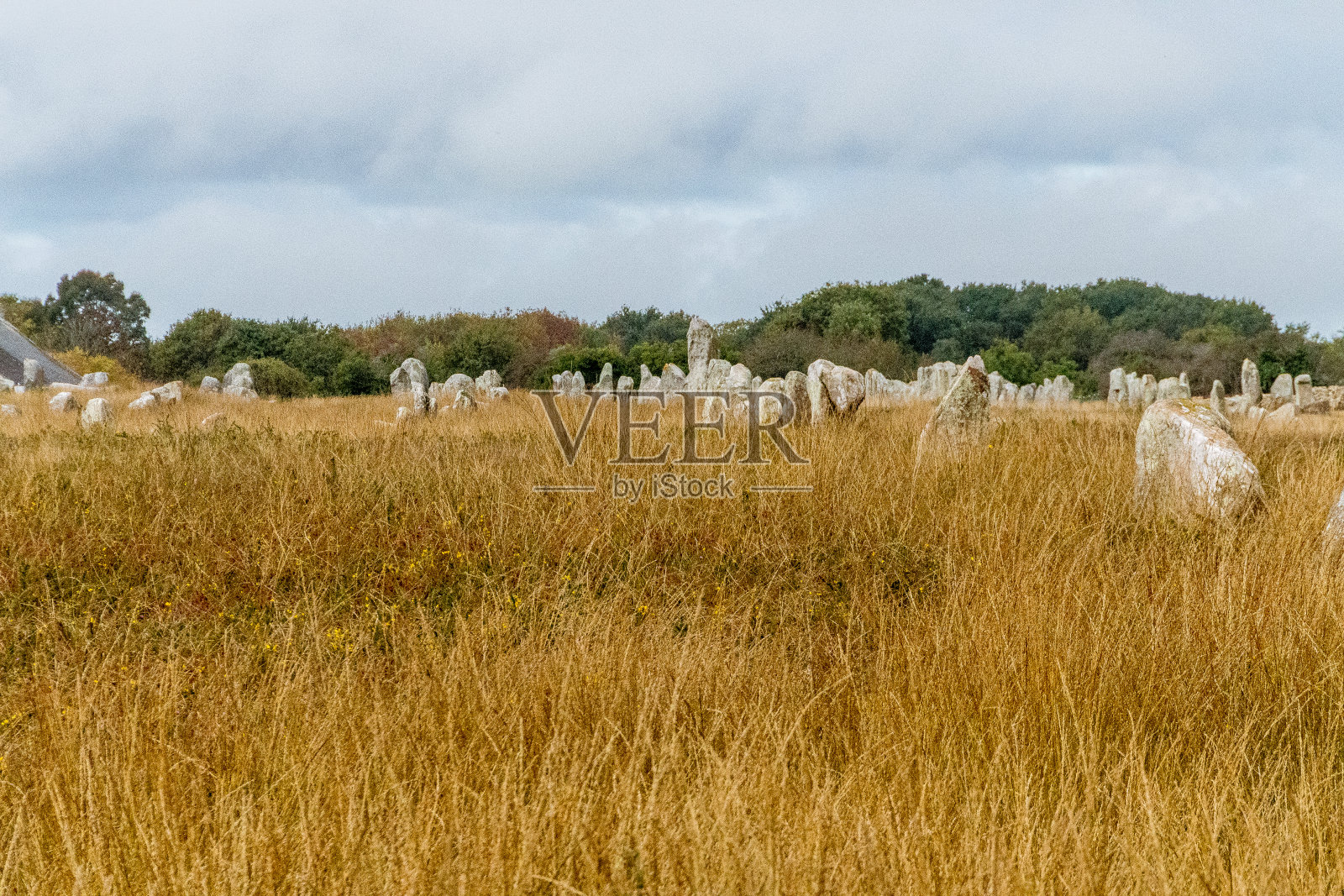 布列塔尼地区的卡纳克路线，Menhir de卡纳克。法国。照片摄影图片