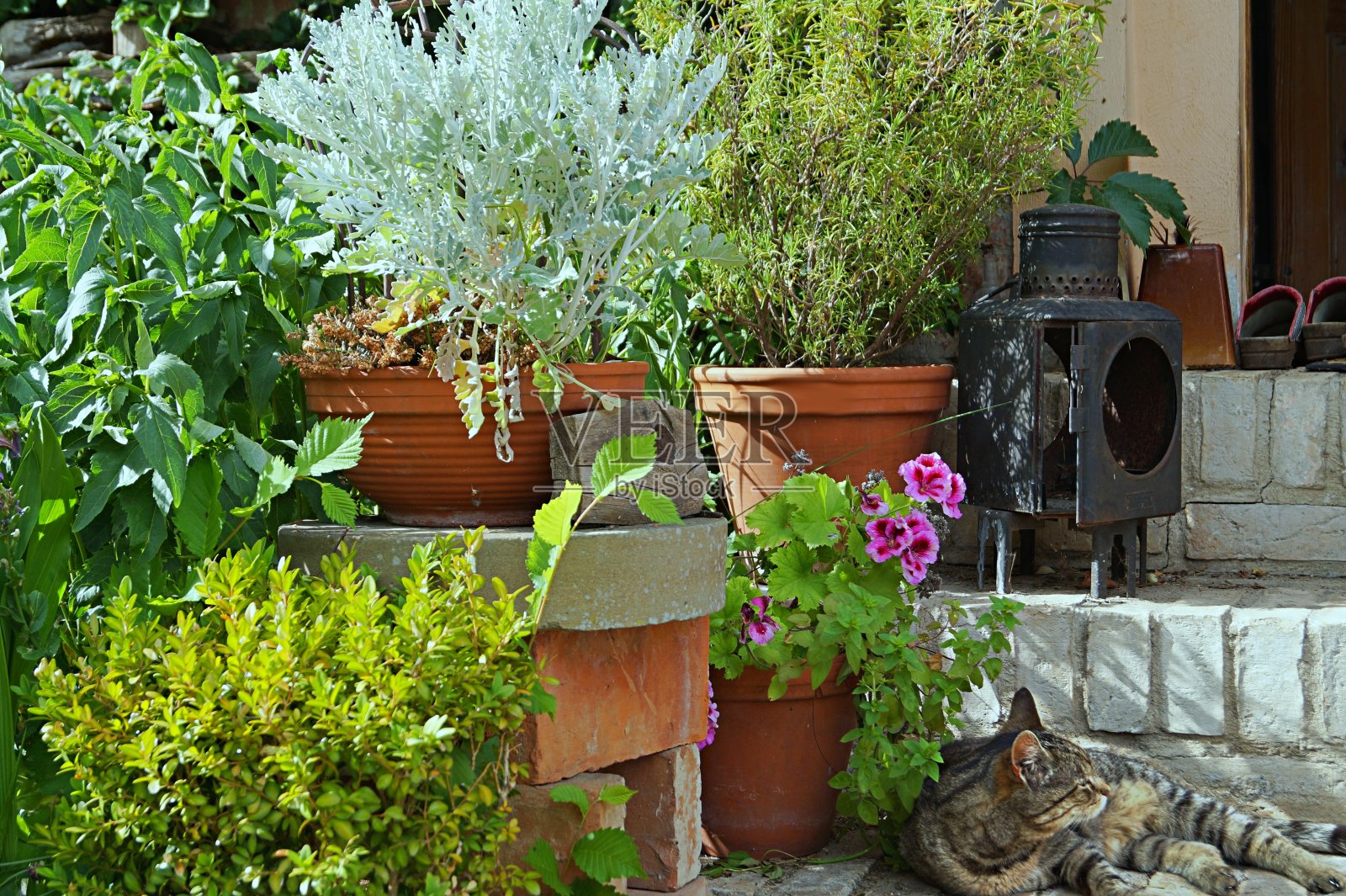 夏季装修照片摄影图片