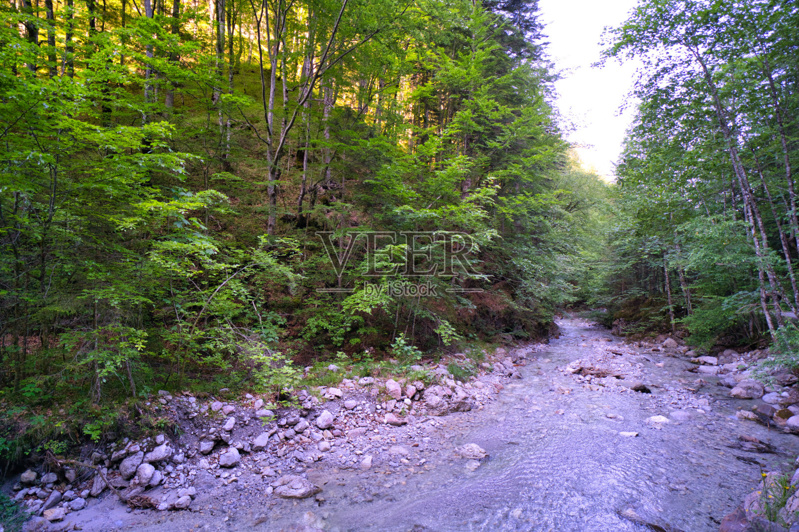 费尔茨照片摄影图片