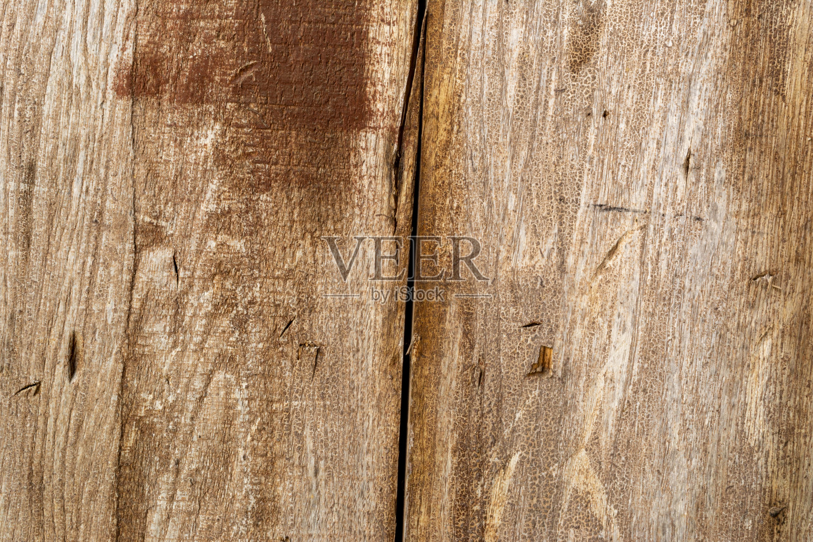 一棵干裂的树上剥落的旧红漆照片摄影图片