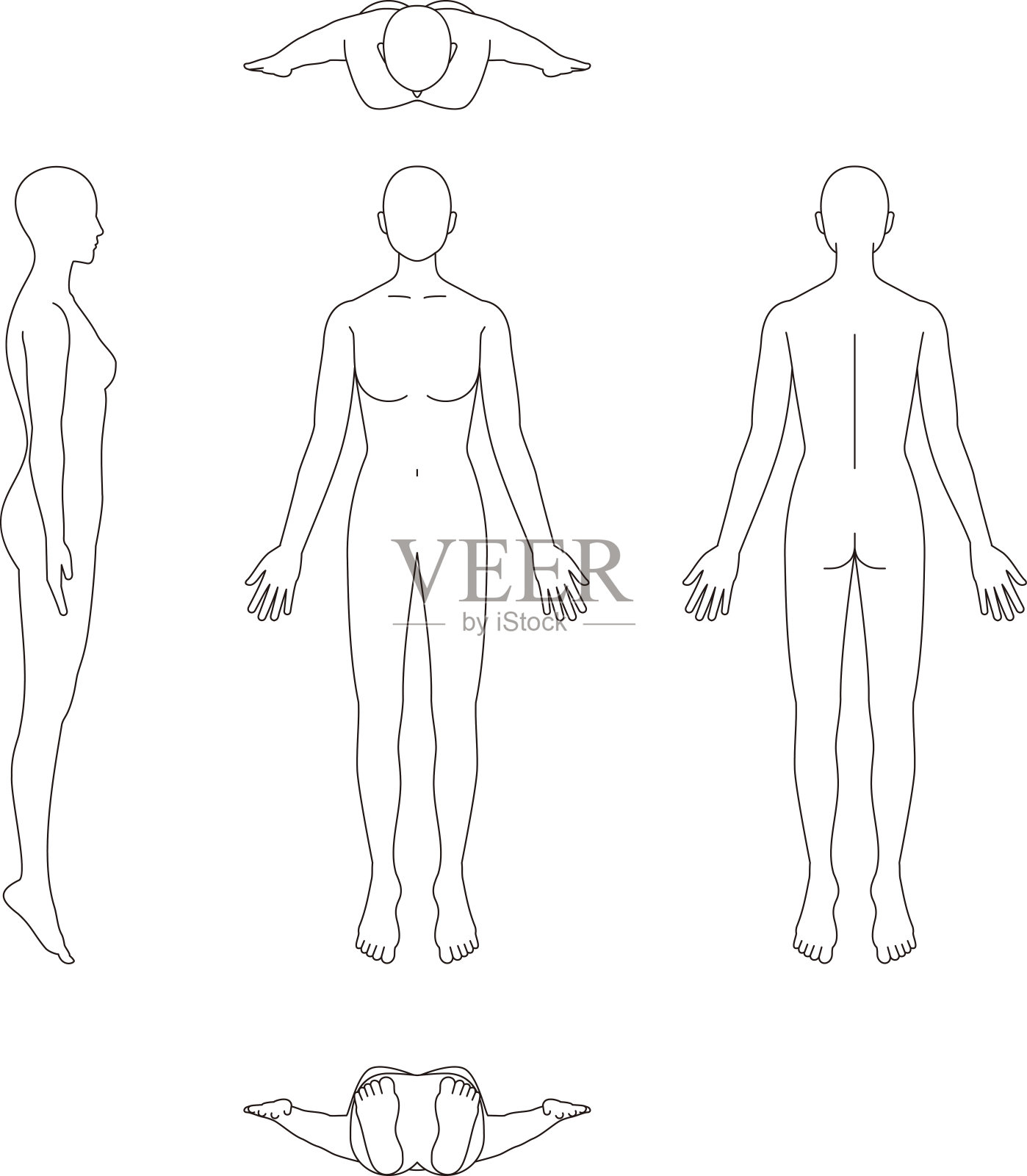 人体的插图。女性的草图插画图片素材