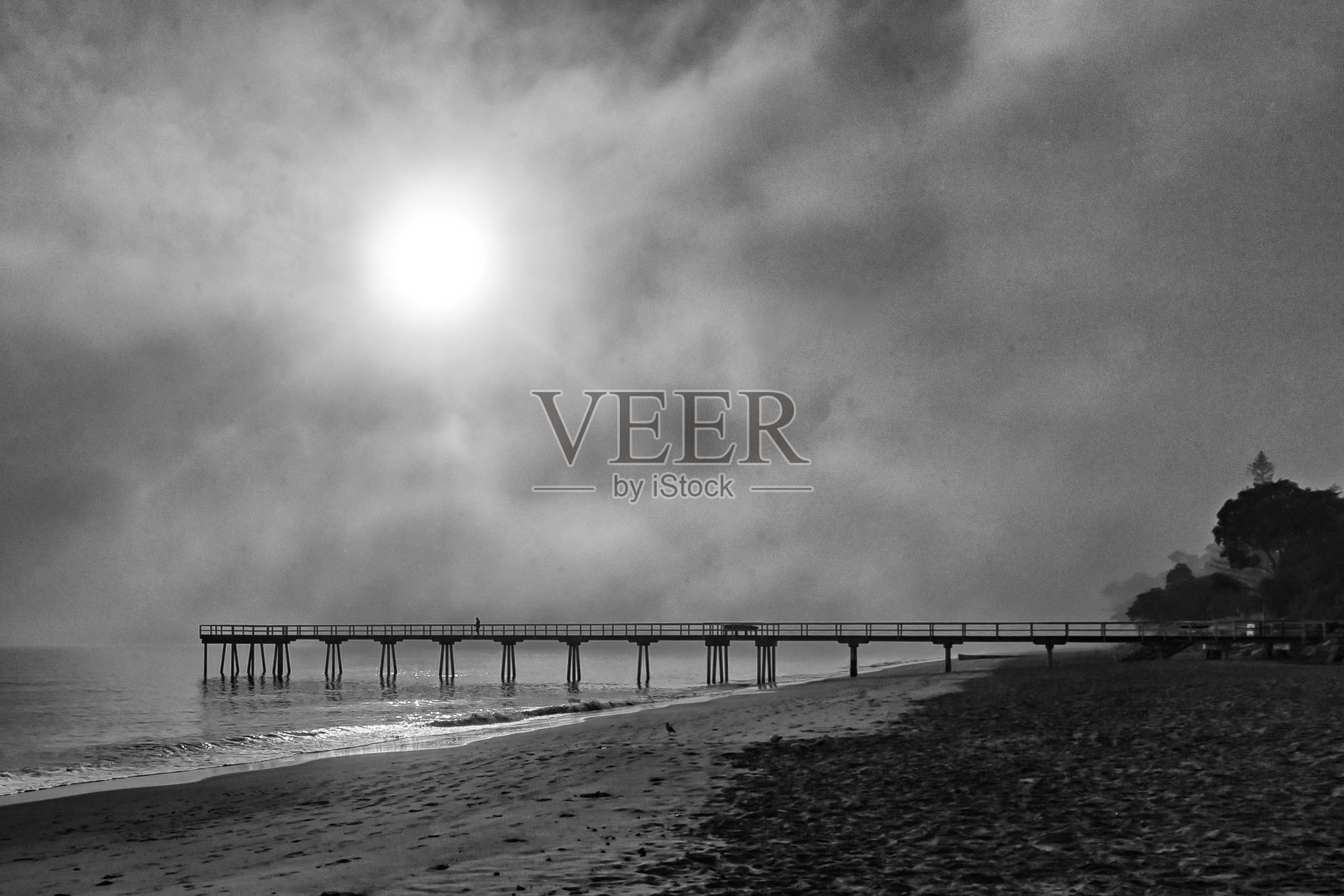 有雾的早晨照片摄影图片