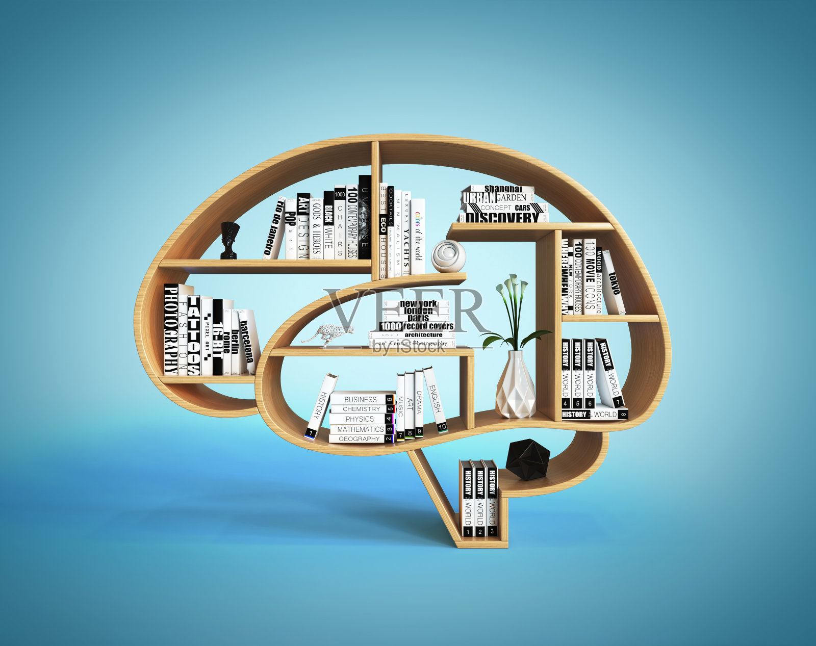 人脑形状的书架，智能书架概念3d渲染照片摄影图片