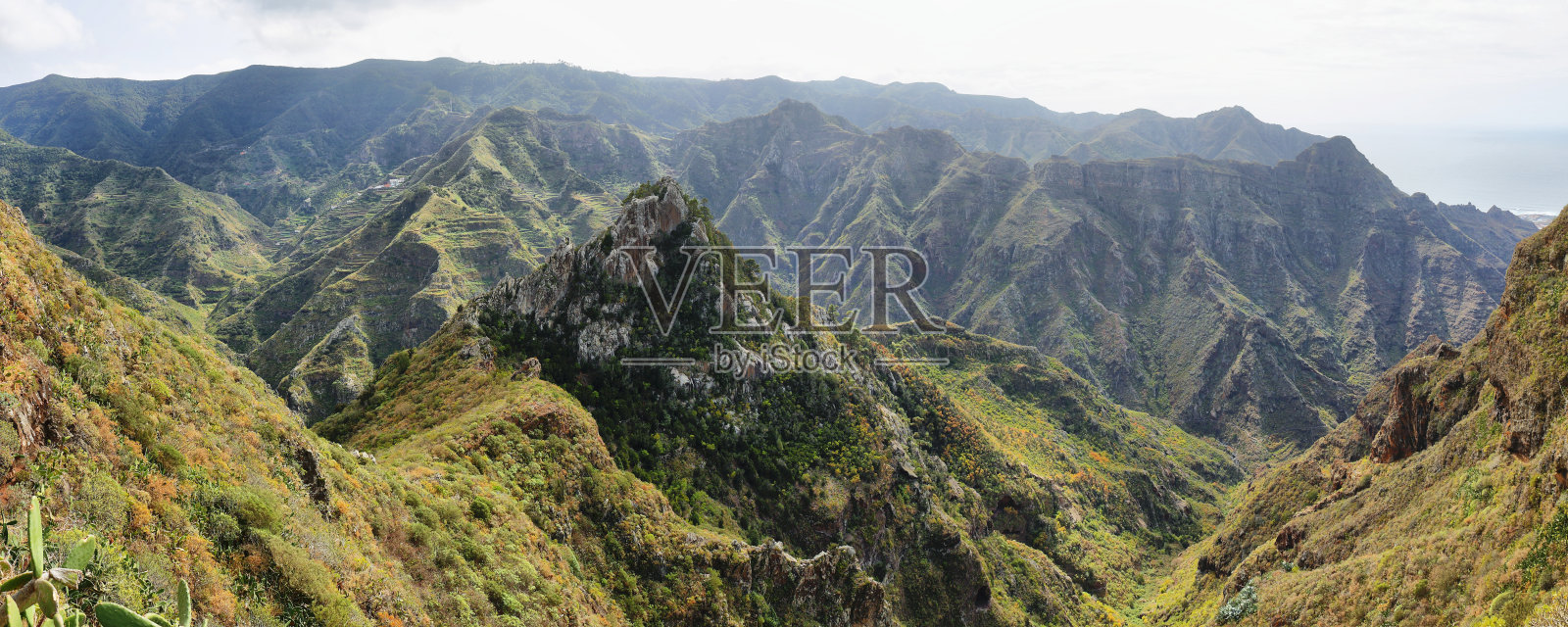奇纳马达，阿纳加山脉，特内里费，加那利群岛，西班牙。照片摄影图片