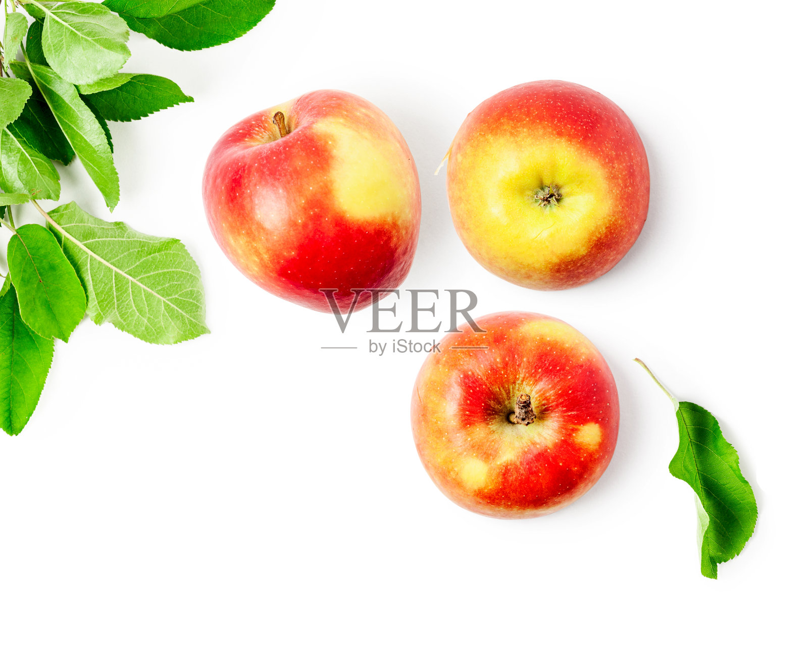 苹果果实和绿叶成分照片摄影图片