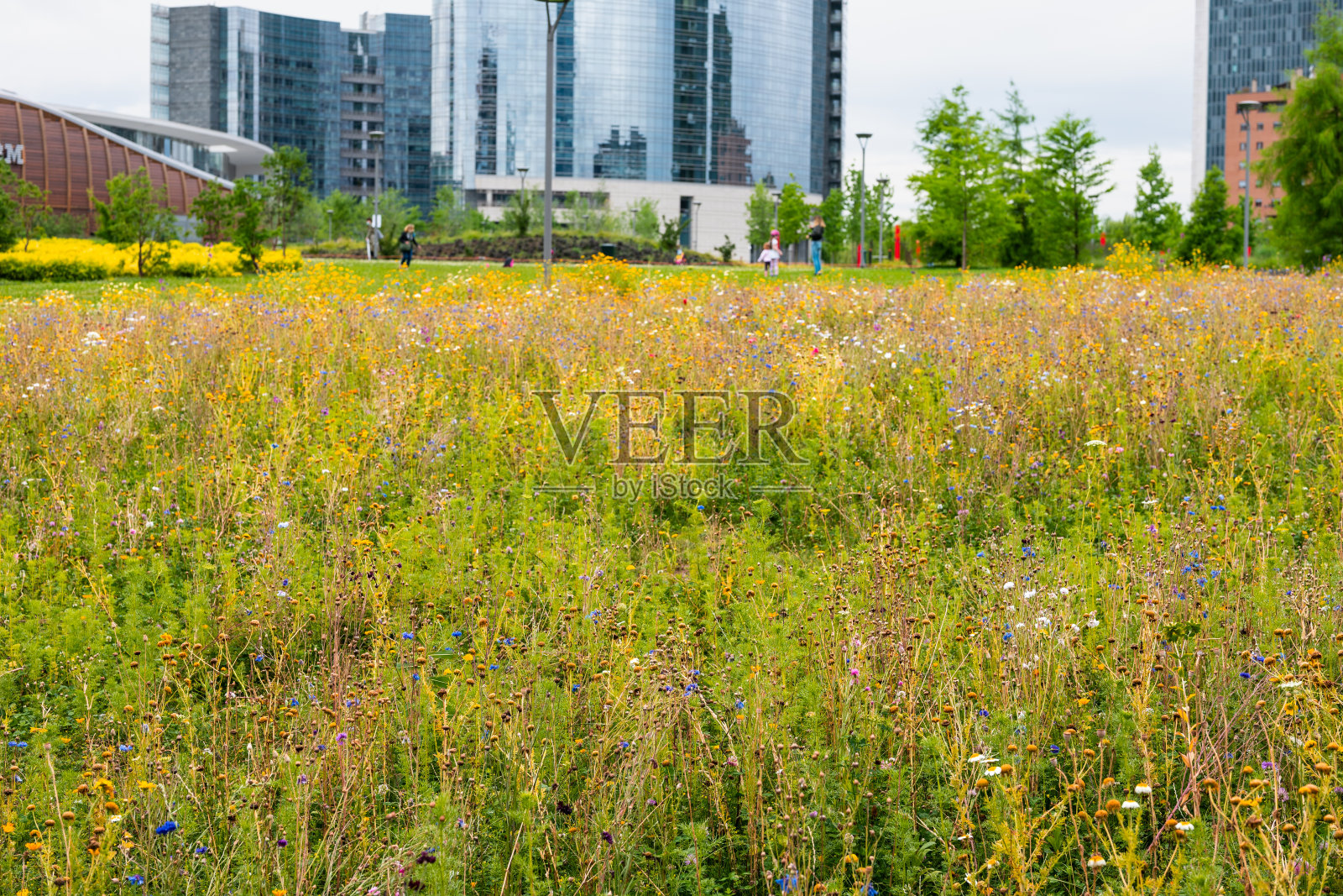 意大利米兰市中心的春天照片摄影图片