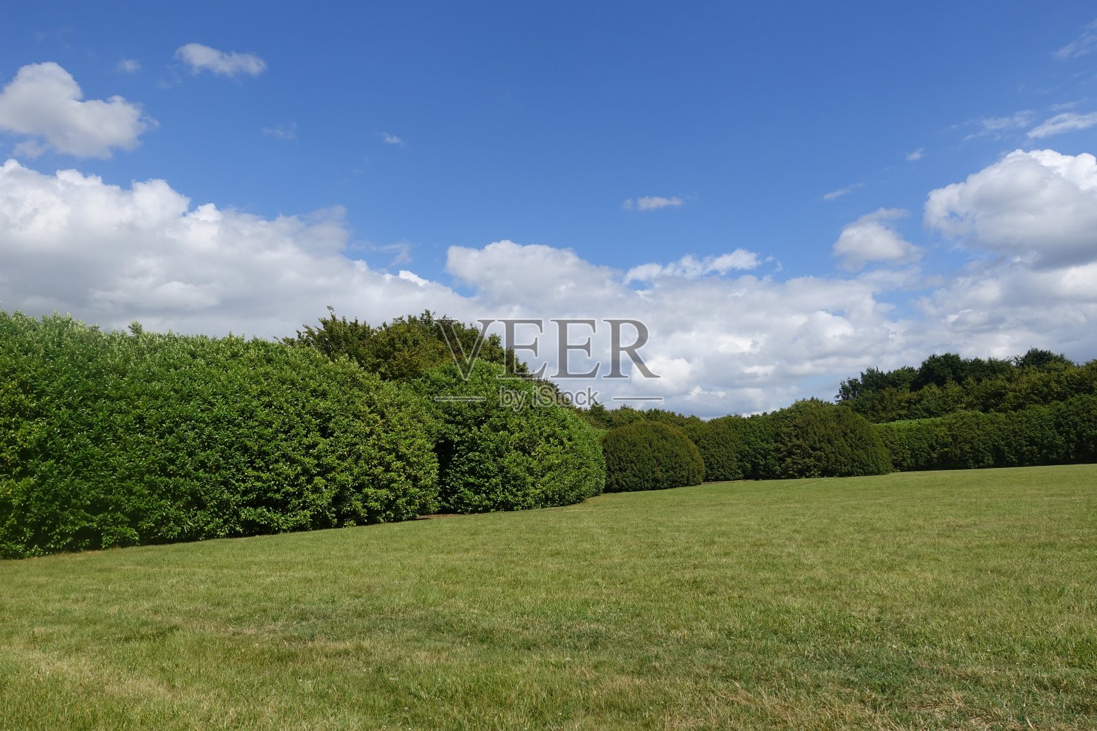 树木环绕的空地割过的草ïle-de-France照片摄影图片