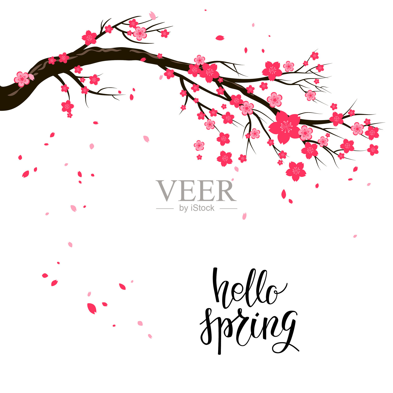 卡通樱花或樱花花枝插画图片素材