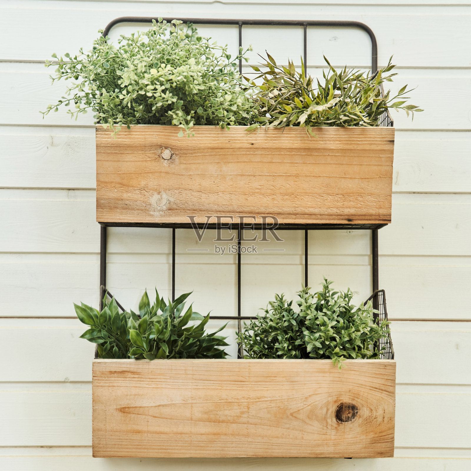 装饰木箱与花在白色的墙上特写照片摄影图片