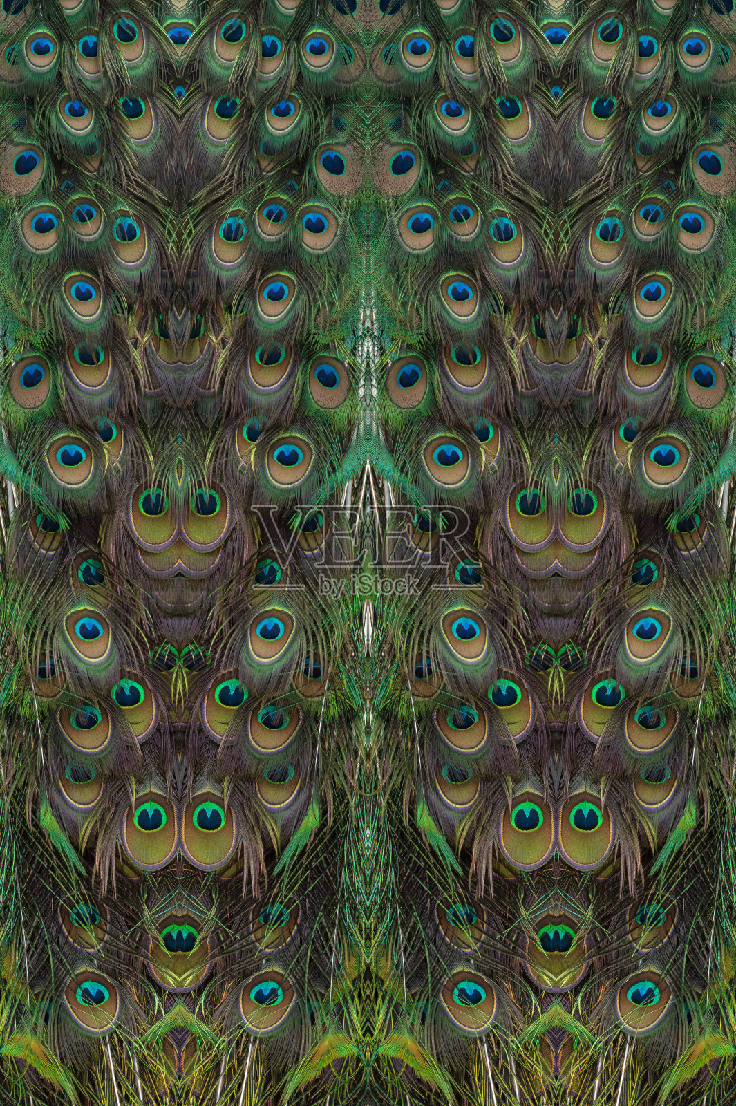 特写孔雀羽毛一个美丽的背景照片摄影图片