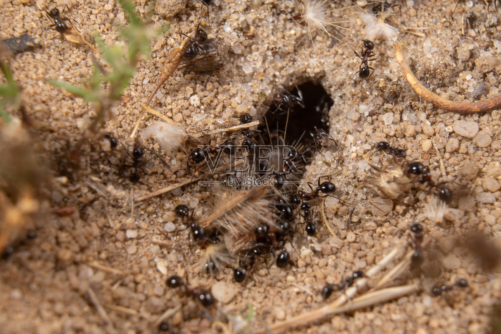 人群密集的地方。照片摄影图片