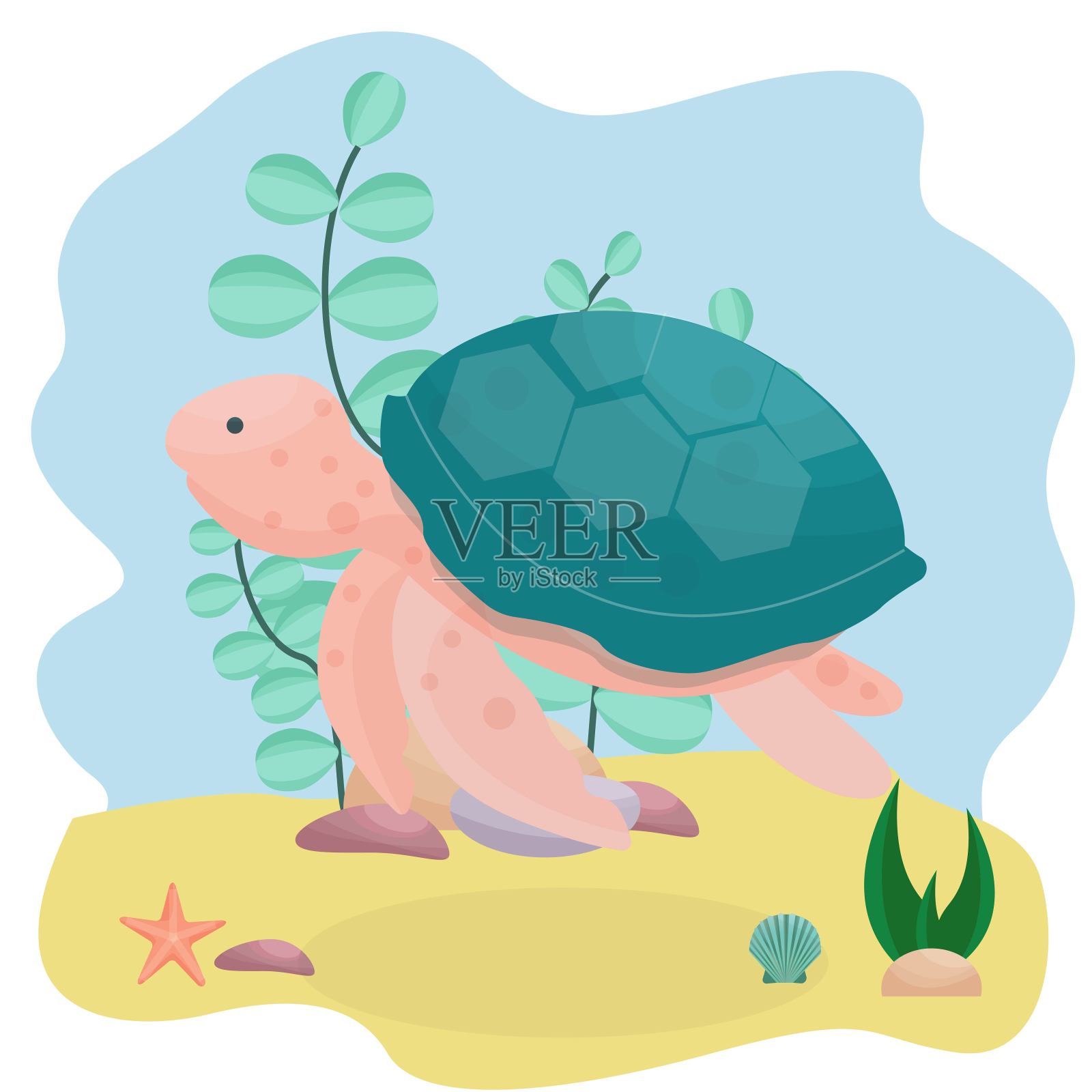 海龟，水下，水族馆组成与植物，石头，贝壳在矢量设计。插图与野生爬行动物。丰富多彩的艺术作品。插画图片素材
