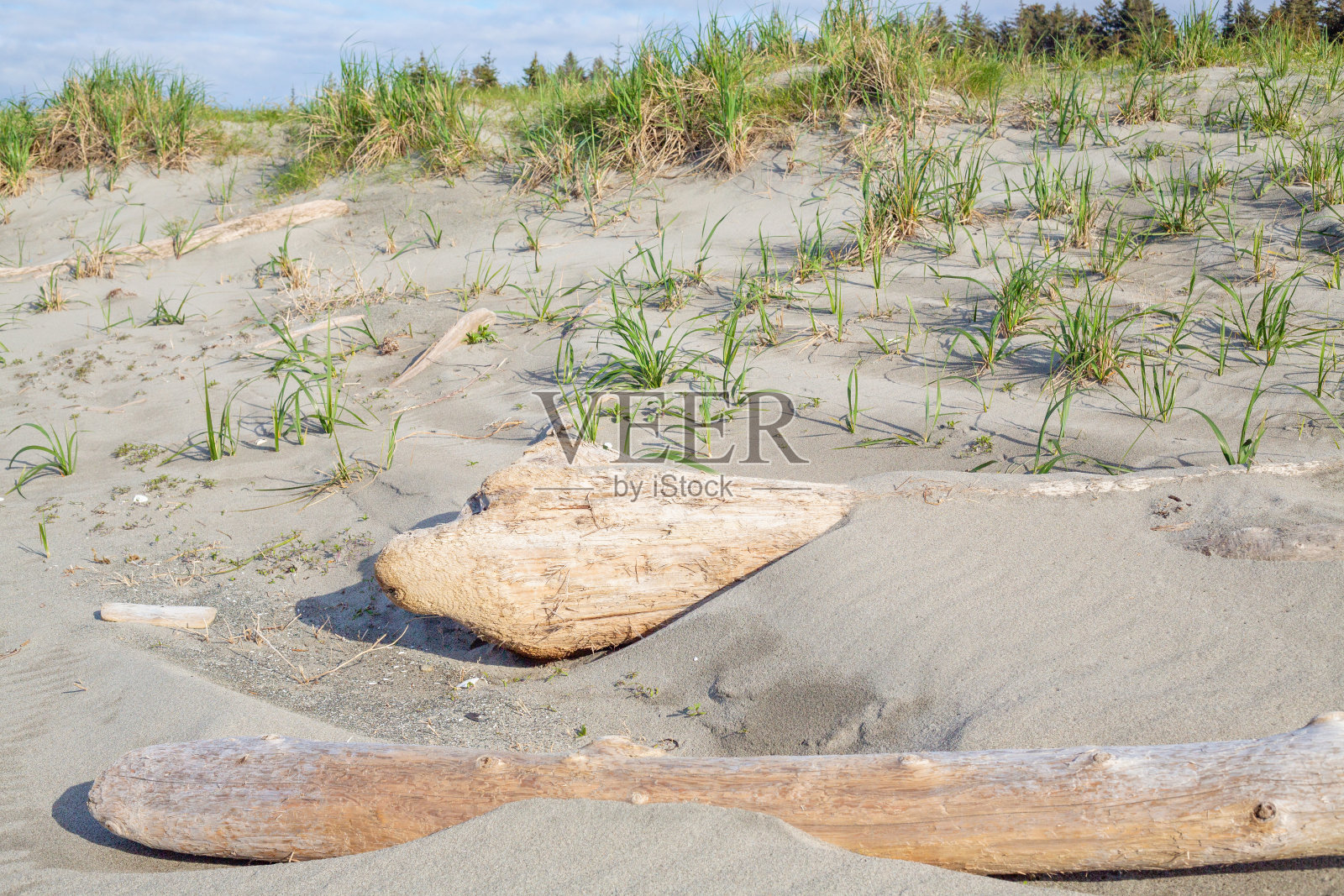 马塞特北滩照片摄影图片