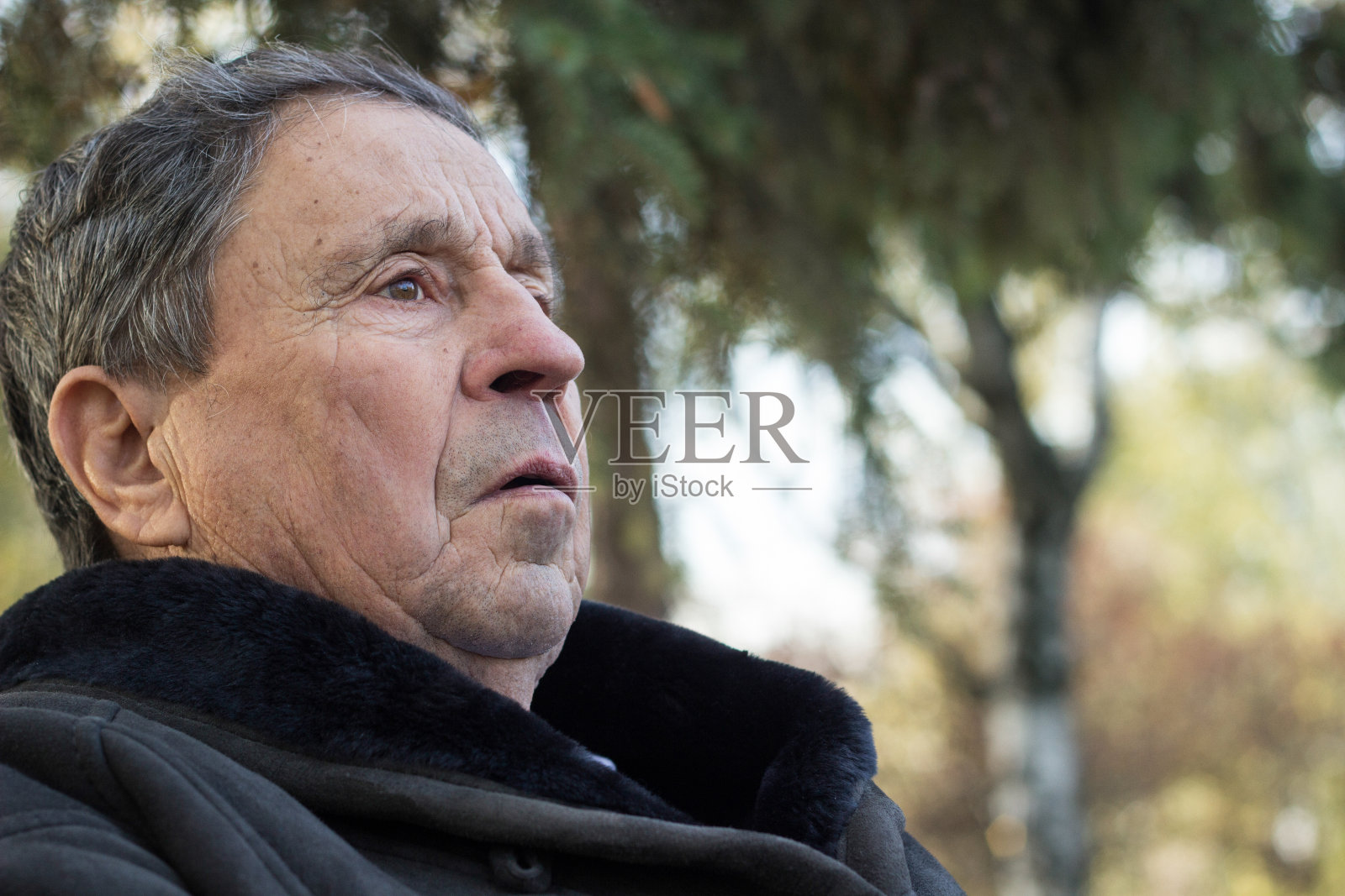 年长的男人坐在公园的长椅上照片摄影图片