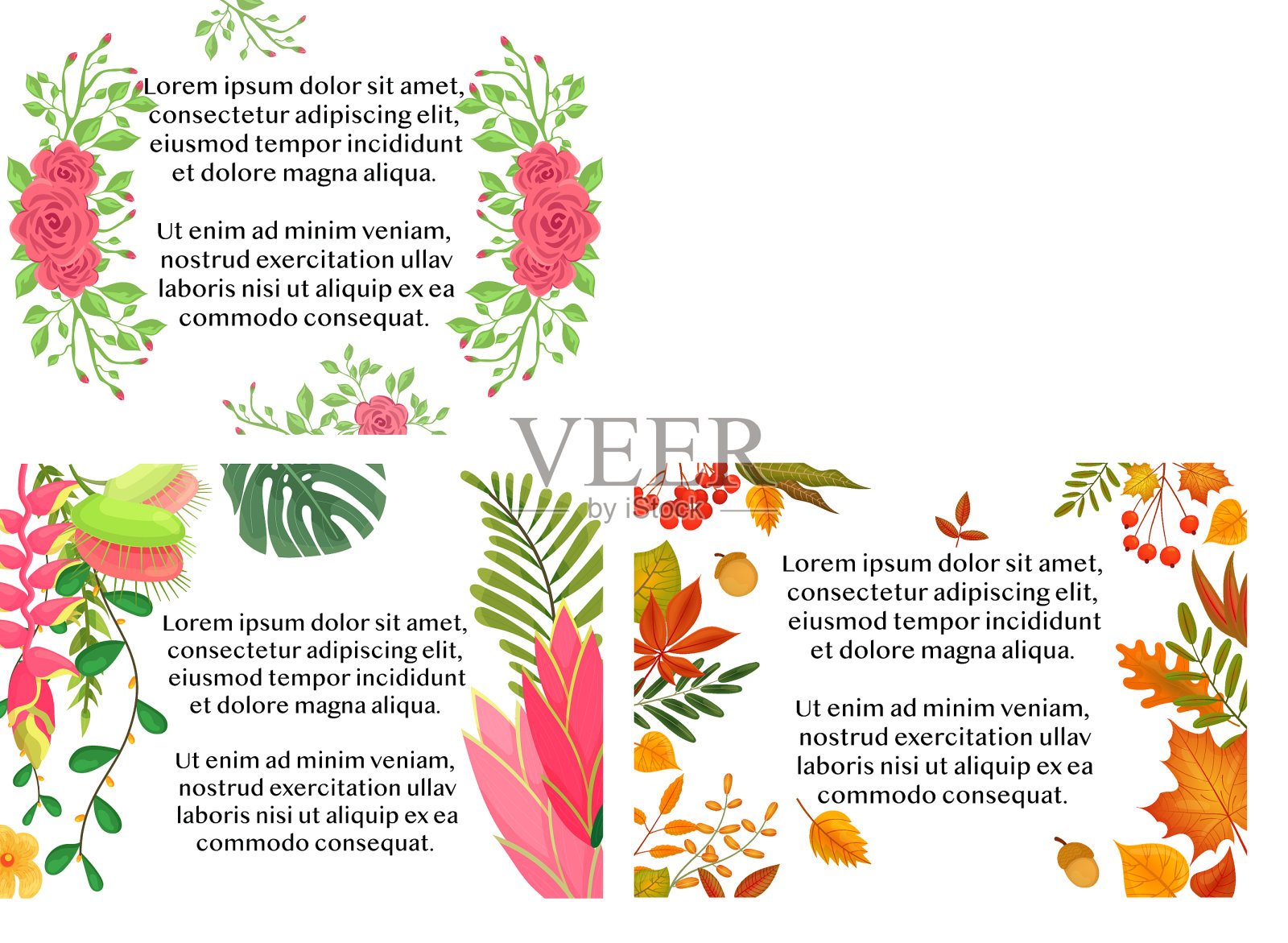 美丽的花框架与叶和花插画图片素材