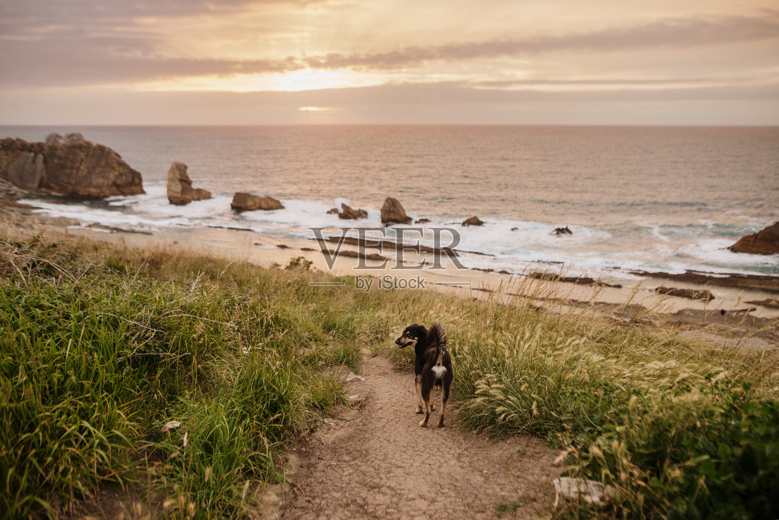 日落时分，西班牙坎塔布里亚的阿尼亚悬崖照片摄影图片
