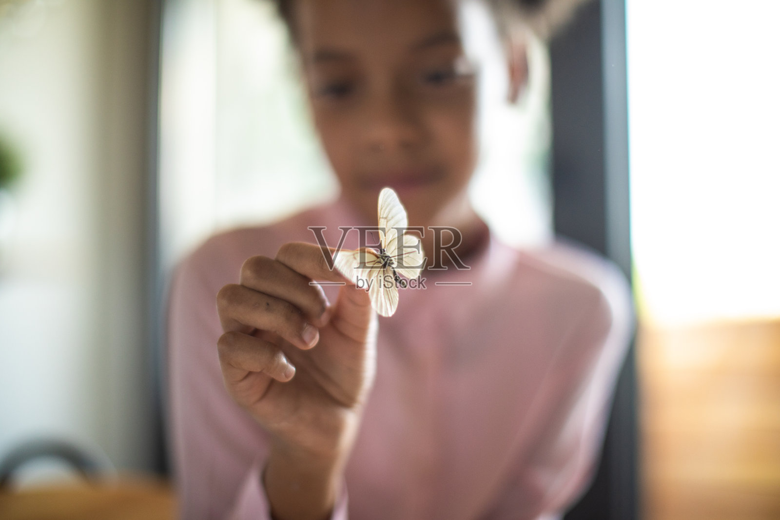 手里拿着蝴蝶的女孩照片摄影图片