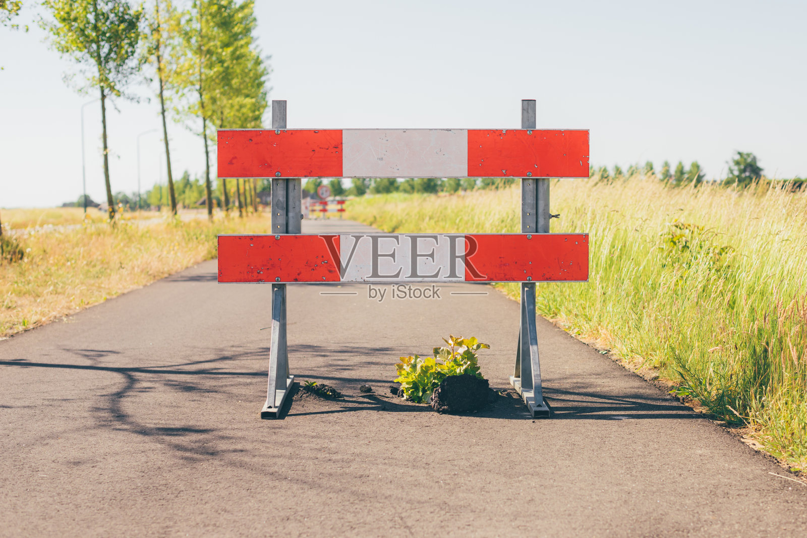 人行道或自行车道禁止通行区标志，因植物在沥青路面生长而损坏的道路。Sint-Oedenrode、荷兰照片摄影图片