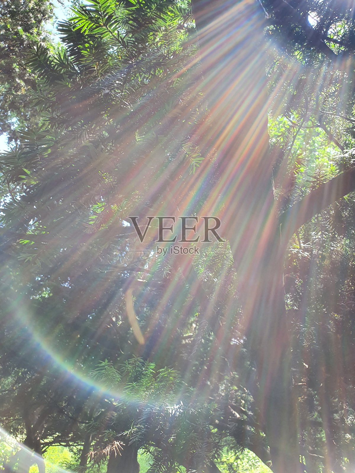 太阳的光照片摄影图片