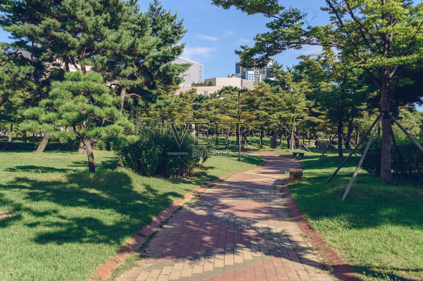 阳光明媚的釜山，景色优美的APEC Naru公园照片摄影图片