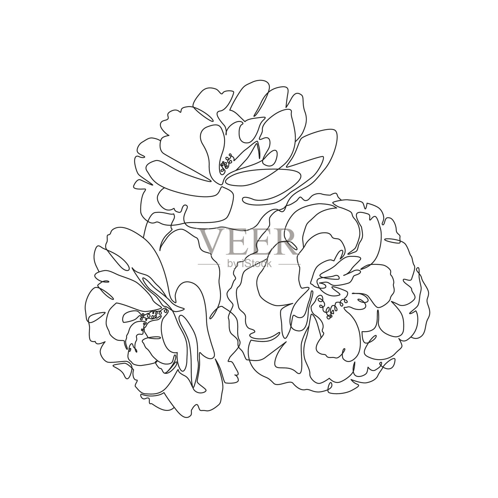 极简主义的花卉插图。单线画用于印刷，横幅，纹身，海报或卡片。黑白线条艺术矢牡丹花插画图片素材