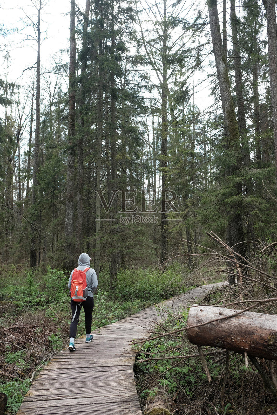 年轻女子旅行红色旅行背包在夏天多云的森林。旅游概念。照片摄影图片