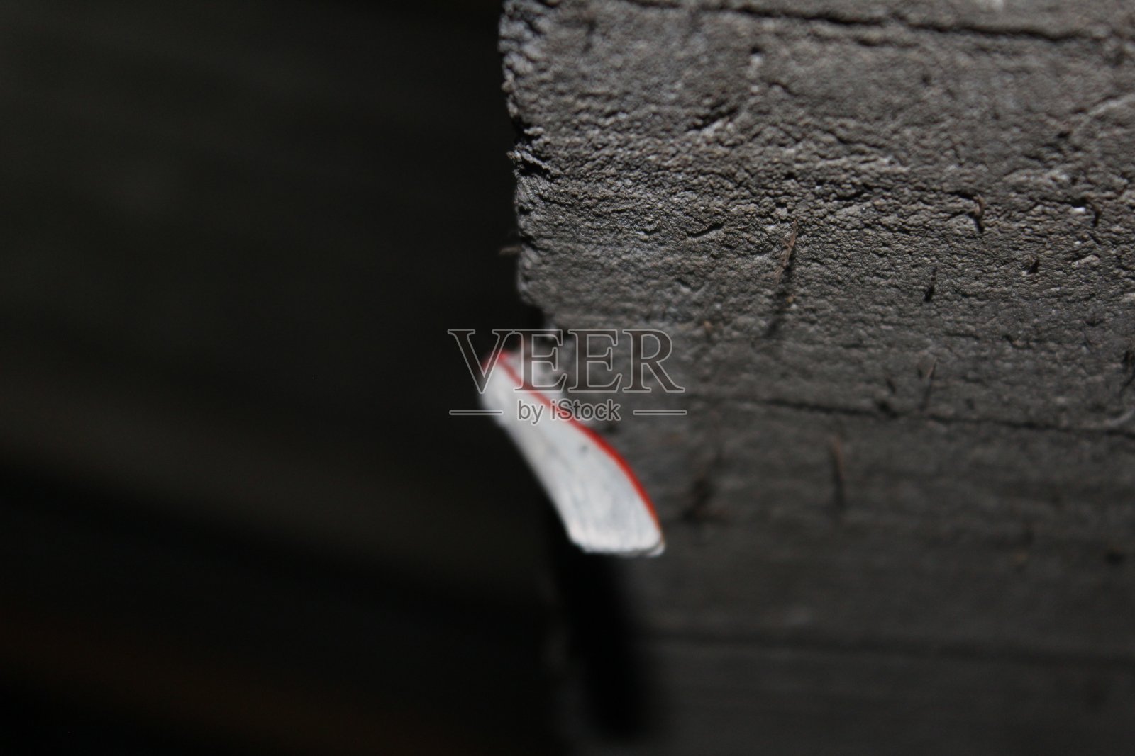 红色条纹的蝴蝶照片摄影图片