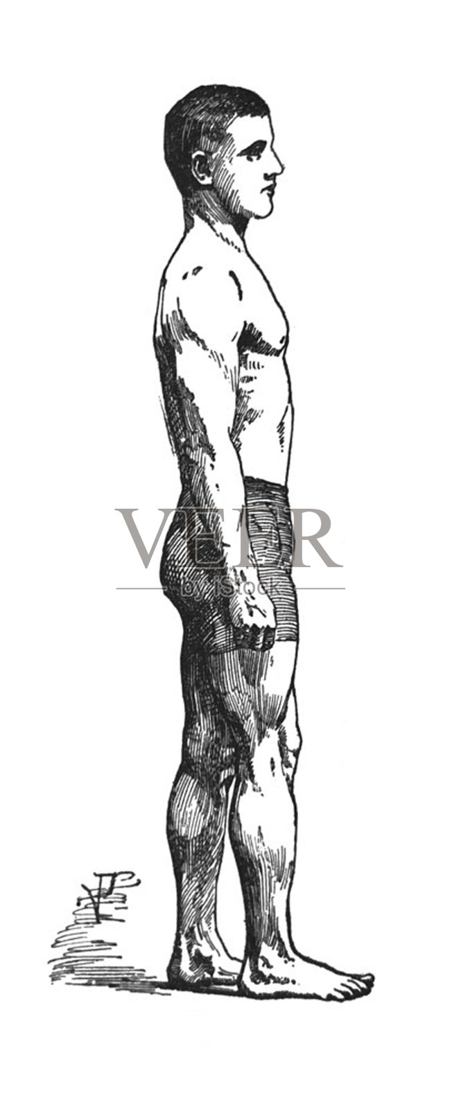 竞技体育——肌肉男的侧面图插画图片素材