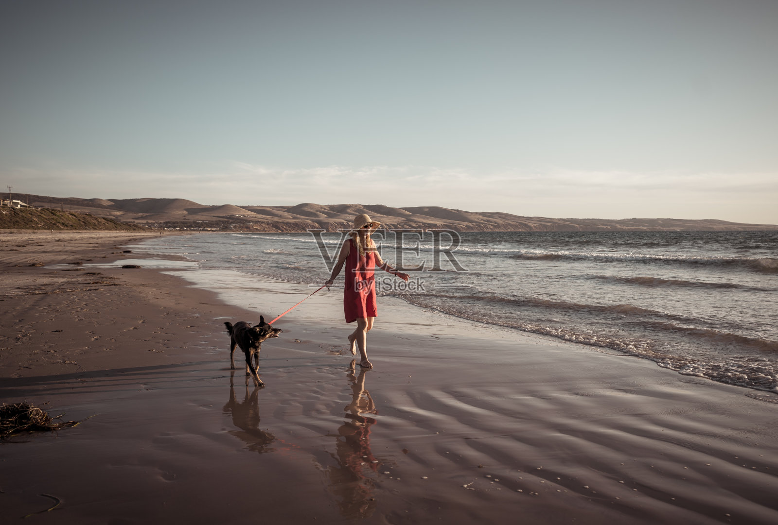美丽成熟的退休妇女和宠物狗一起走在空旷的偏远海滩上。在户外锻炼希望和冠状病毒封锁后的新常态生活概念。照片摄影图片