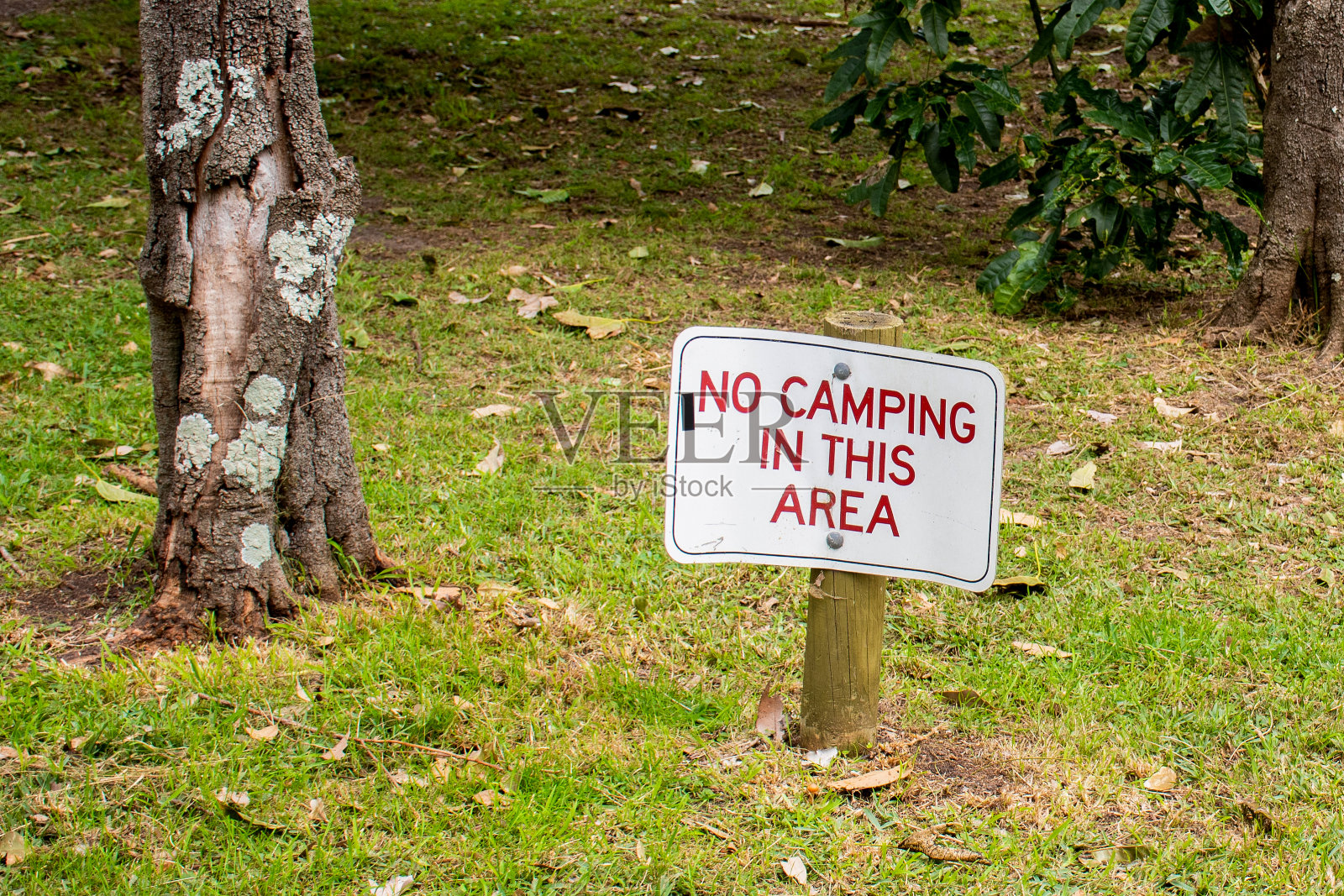这个地区禁止露营的标志是在绿树环绕的草地上。照片摄影图片