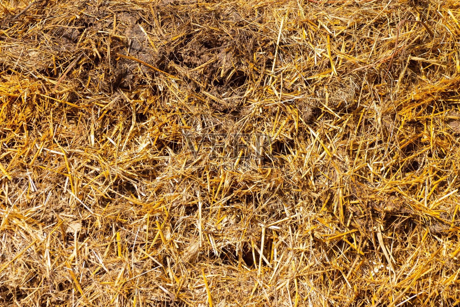 一个粪堆的特写，以稻草为背景纹理照片摄影图片