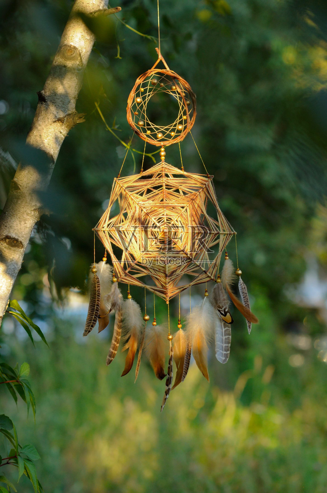 金星捕梦网曼荼罗与羽毛公园照片摄影图片