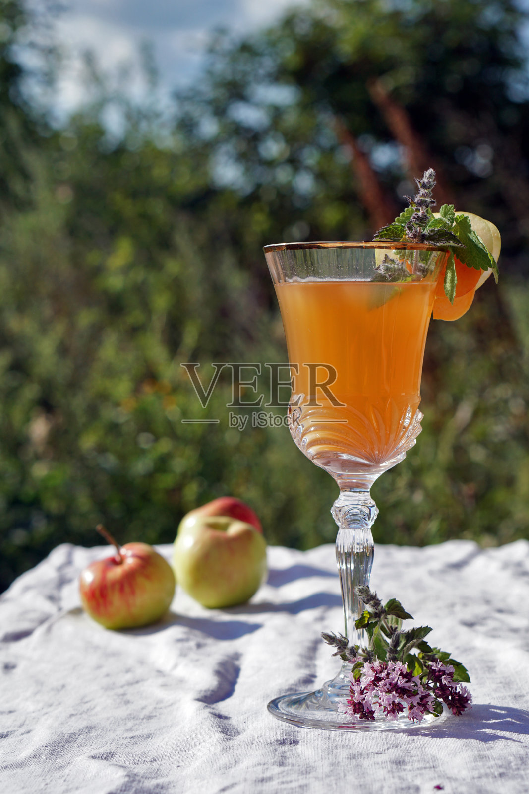 年轻的葡萄酒与一杯葡萄酒和新鲜薄荷叶在亚麻桌布上，在c桌和绿树照片摄影图片