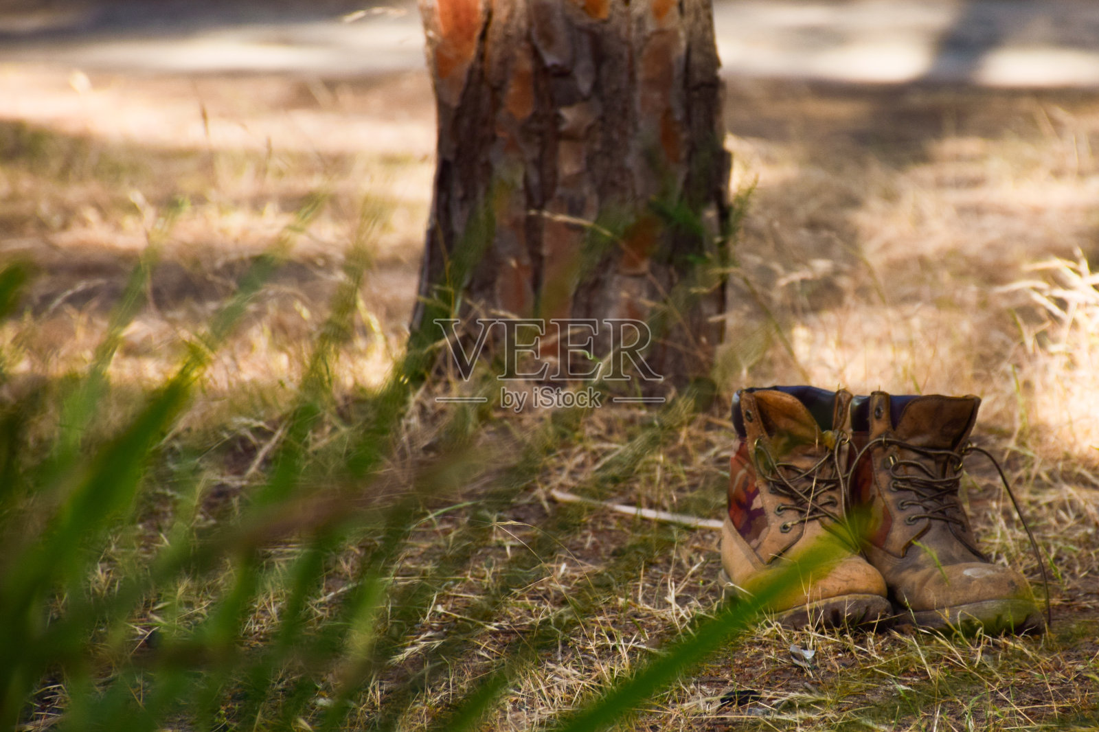 嫌弃的鞋子照片摄影图片