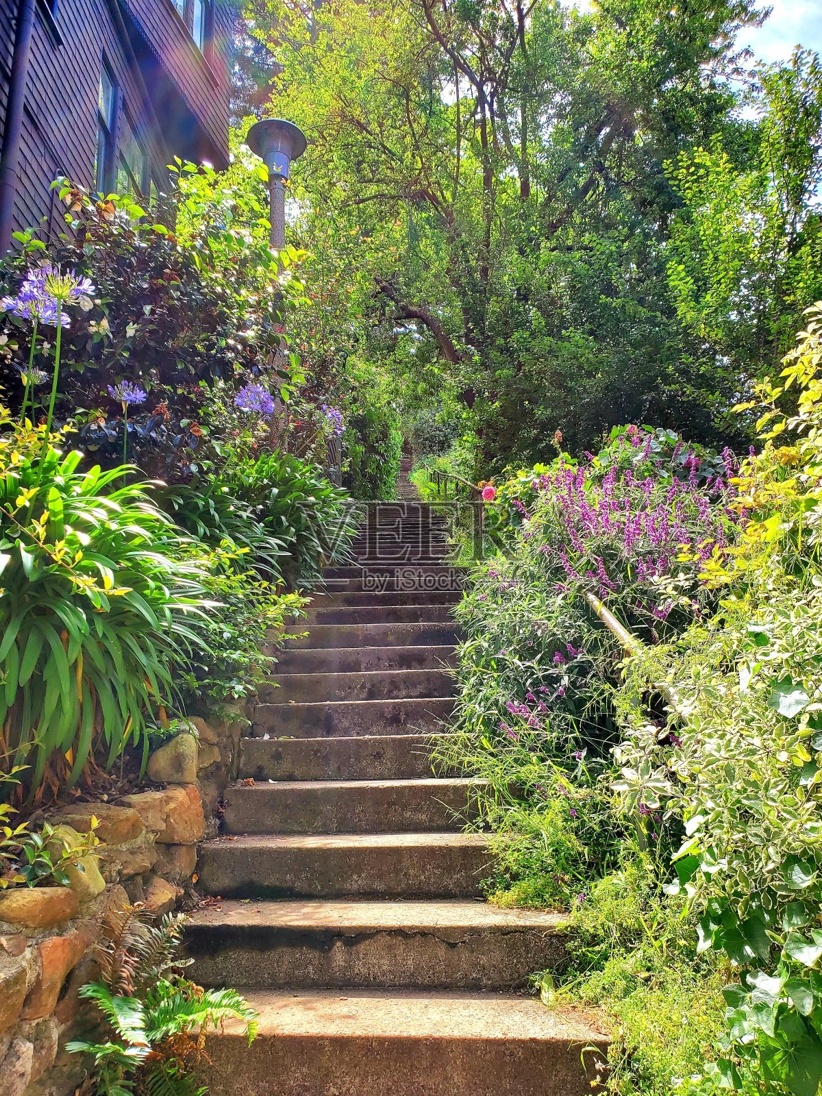 楼梯照片摄影图片