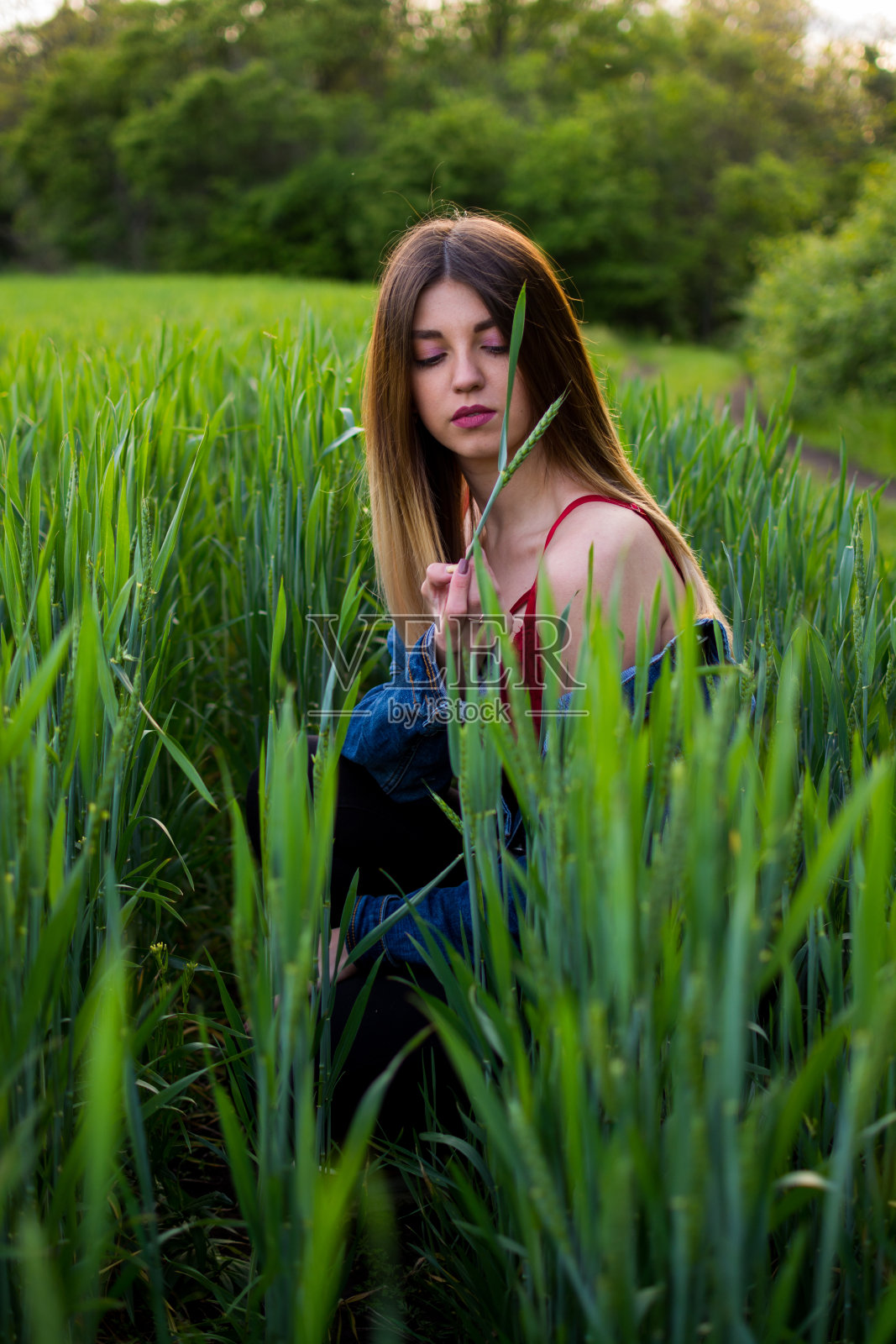 在夕阳的余晖中，一个长着漂亮头发的女孩坐在绿色的田野上。照片摄影图片