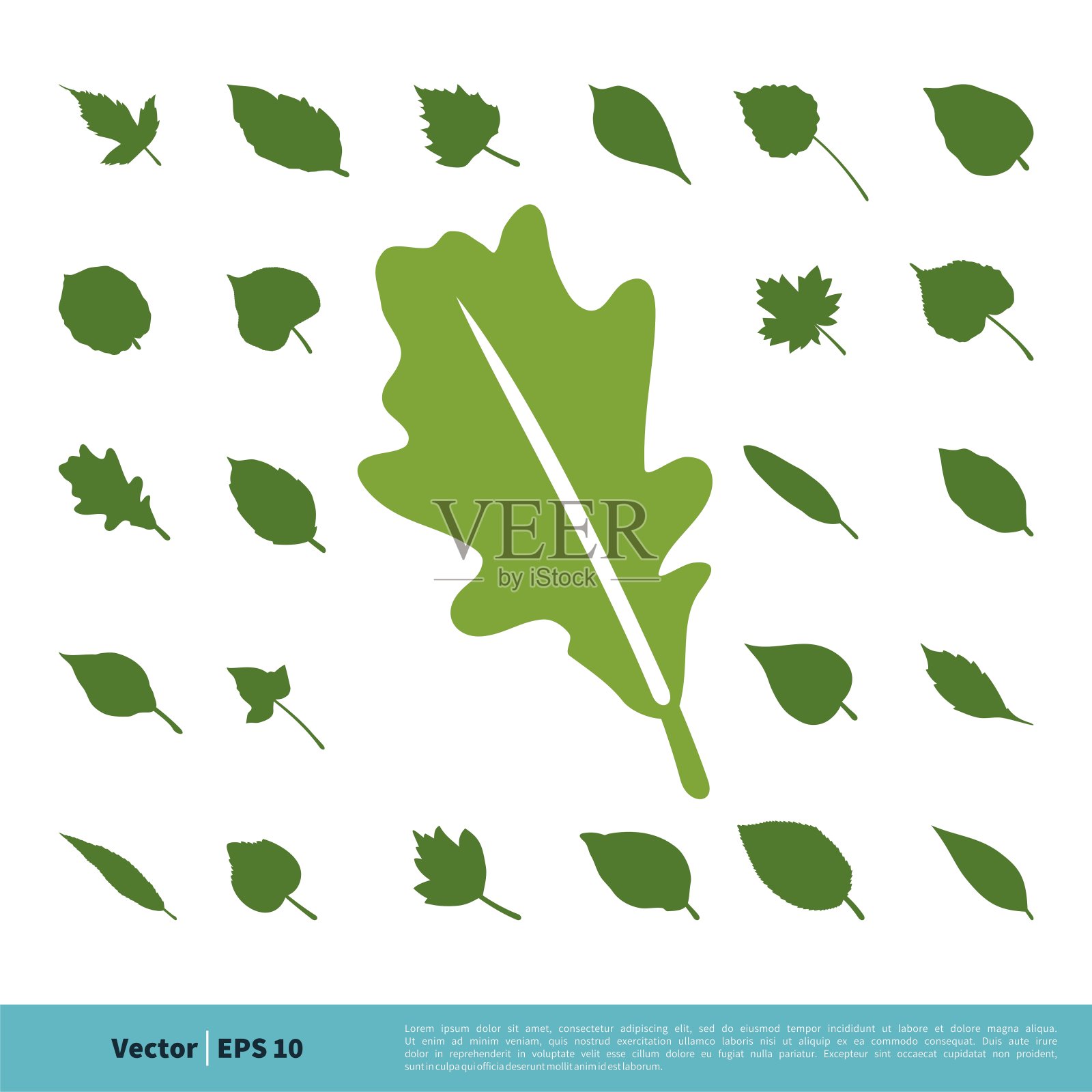 绿叶集生态图标矢量标志模板插图设计。向量EPS 10。插画图片素材