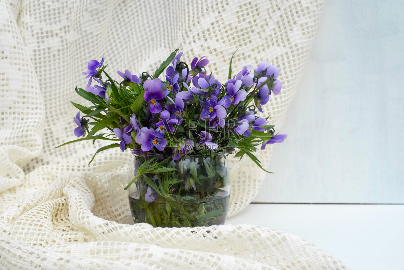 三色堇在白色背景的玻璃花瓶中开花。照片摄影图片