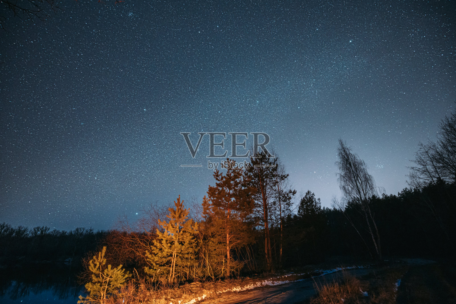 夜晚的星空与生长的松树林在河岸上景观。早春夜晚，天然的针叶林星空照片摄影图片