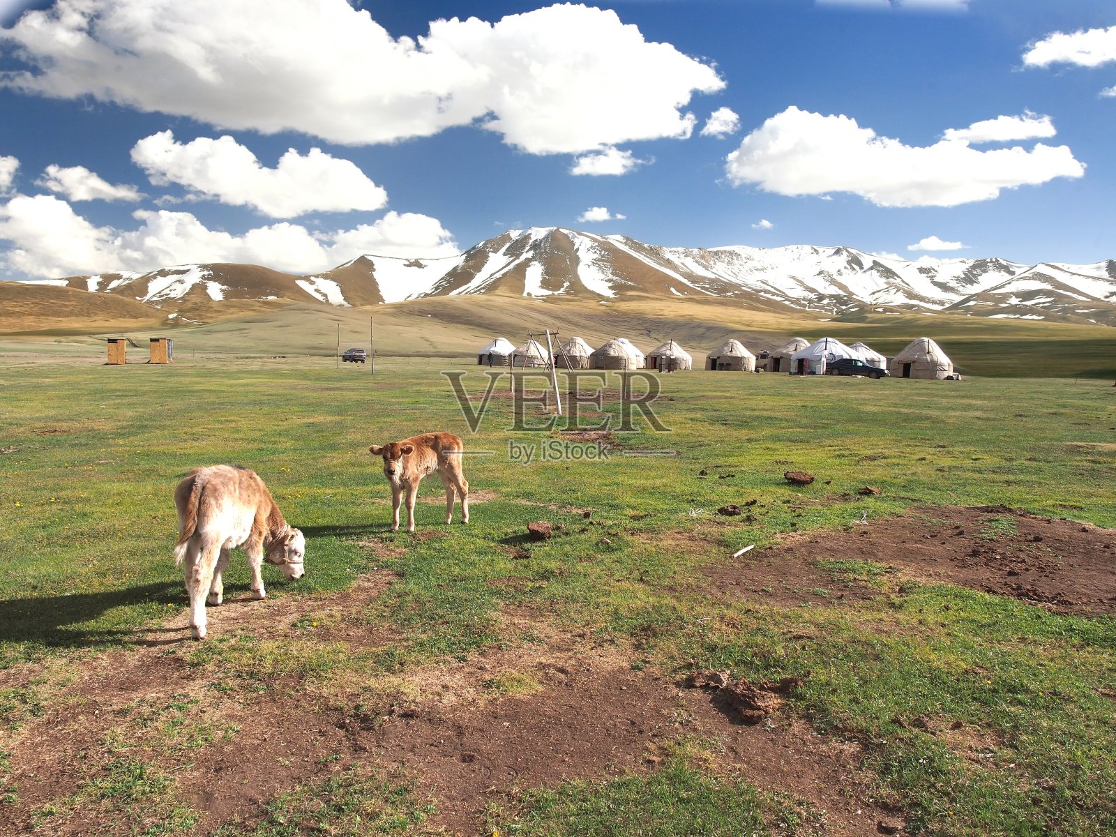 蒙古包营地在吉尔吉斯斯坦纳林的松库尔湖的一个大草地上照片摄影图片