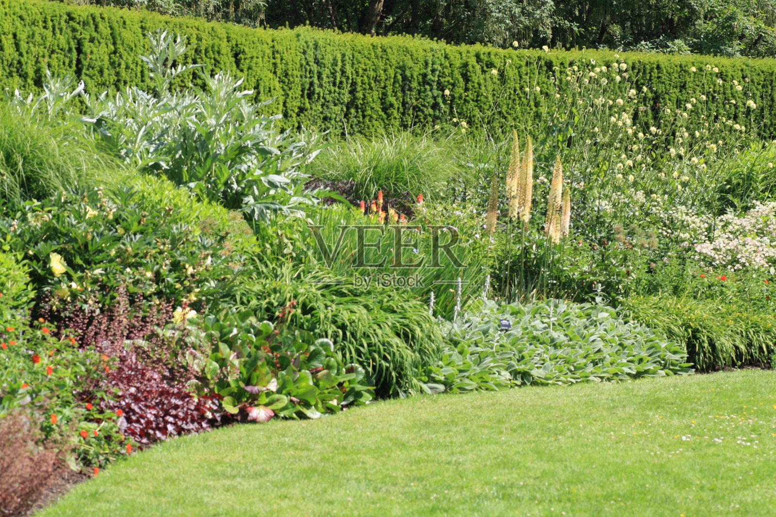 VanDusen植物园照片摄影图片