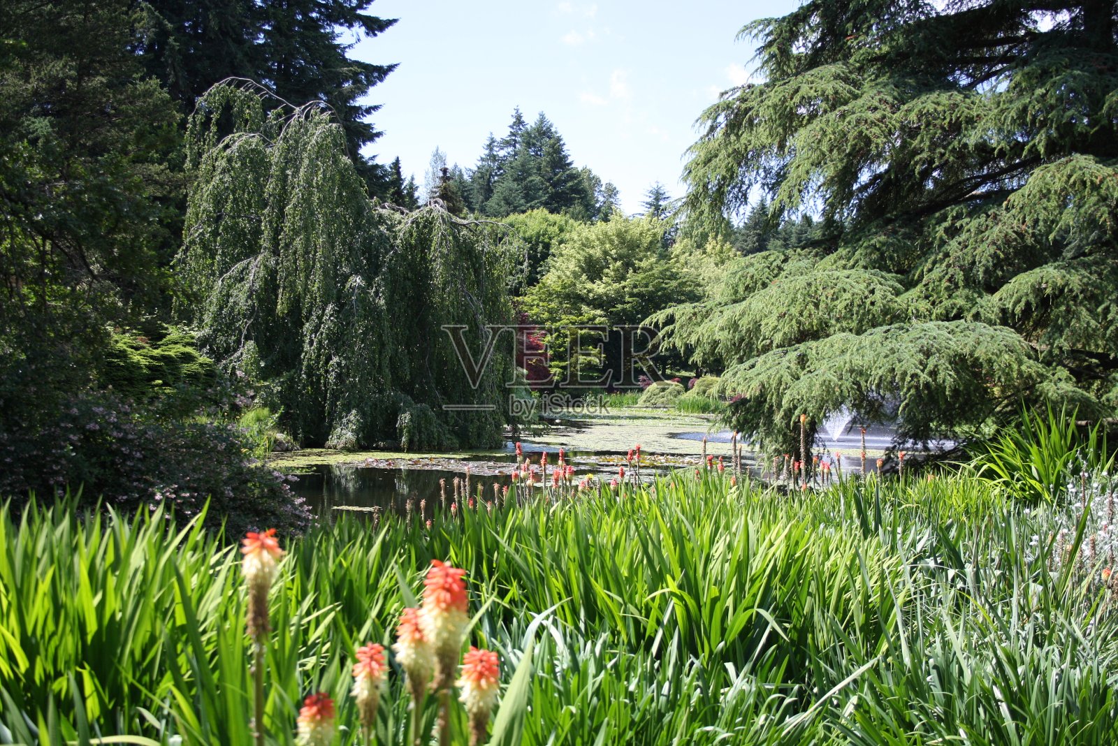喷泉照片摄影图片