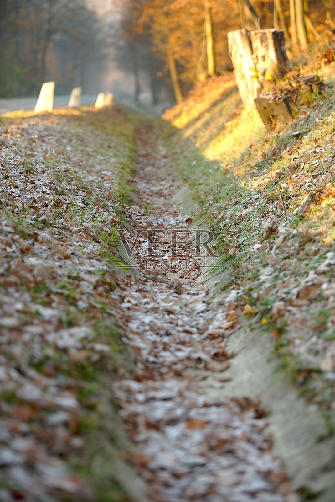 秋天的道路课程照片摄影图片