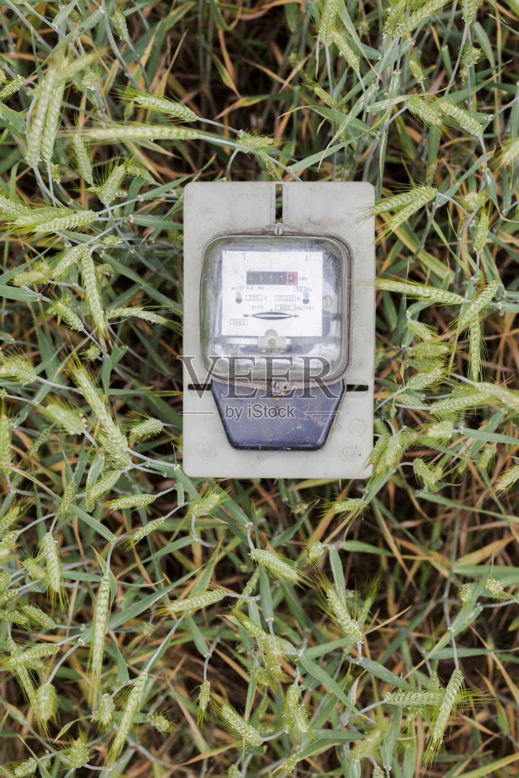 旧棕色的板子夹在谷物中间，电表放在桌上照片摄影图片