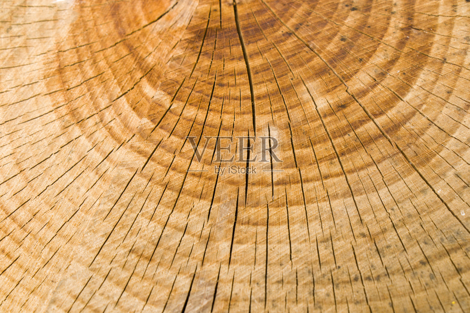 木制背景，切树图案。砍伐和干燥的树的纹理。树的年龄戒指。木制背景上的裂缝。第比利斯,格鲁吉亚。照片摄影图片