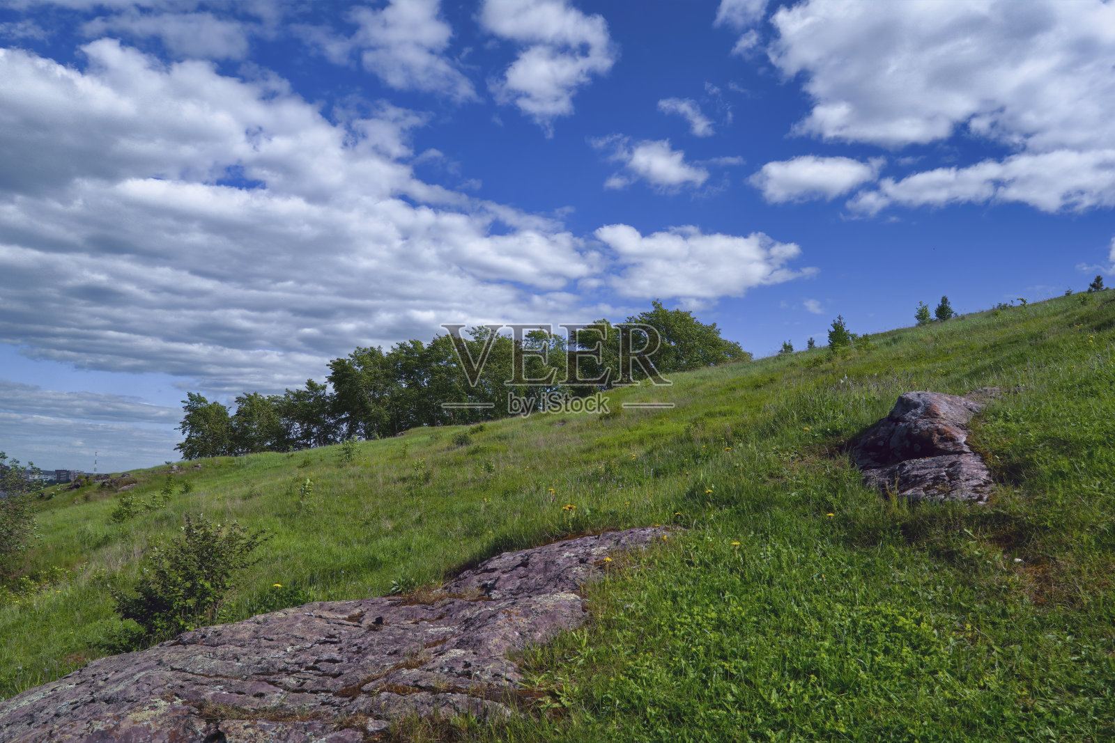 夏季景观绿色草地上的背景森林和蓝天。照片摄影图片