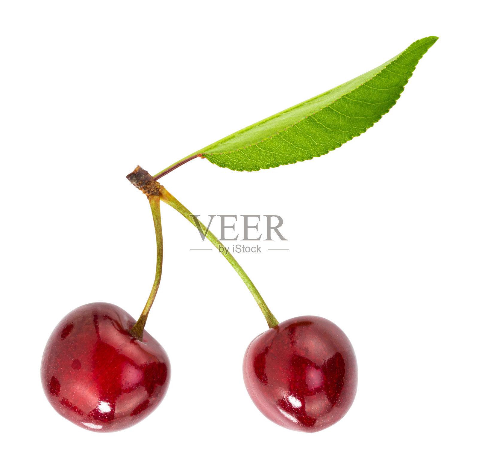 樱桃孤立在白色背景上。与剪切路径照片摄影图片